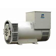 Hot Sale 400kw Googol AC Dynamo AVR Alternator